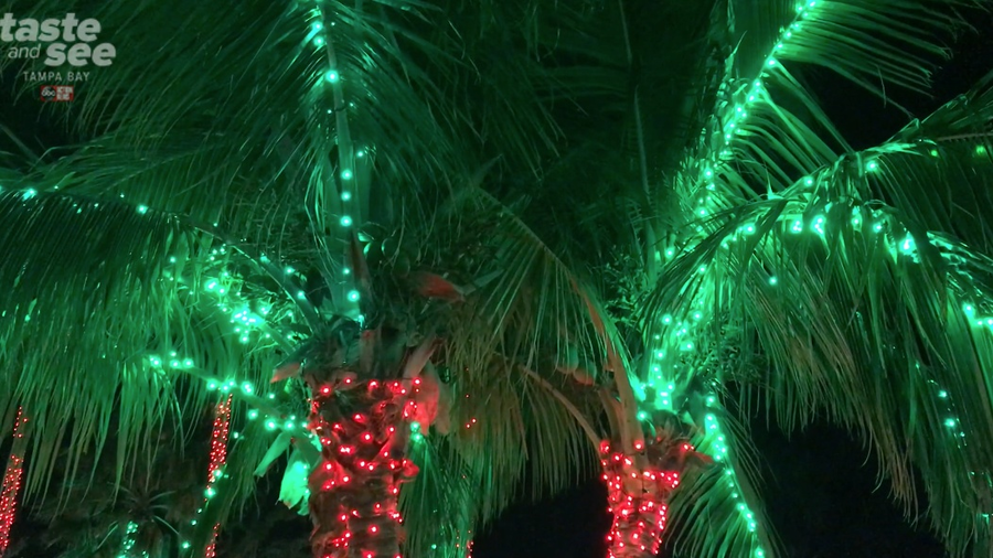 PHOTOS Christmas lights at the Florida Botanical Gardens in Largo